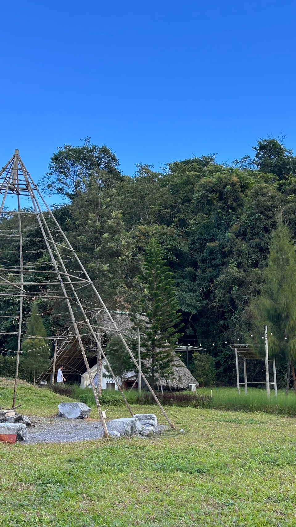 Wellnista Activities